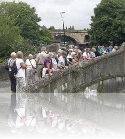 Dinton Walking Group