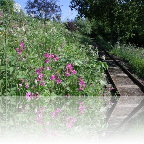 Click on next picture to view