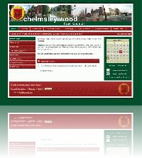 Chelmsley Wood Town Council